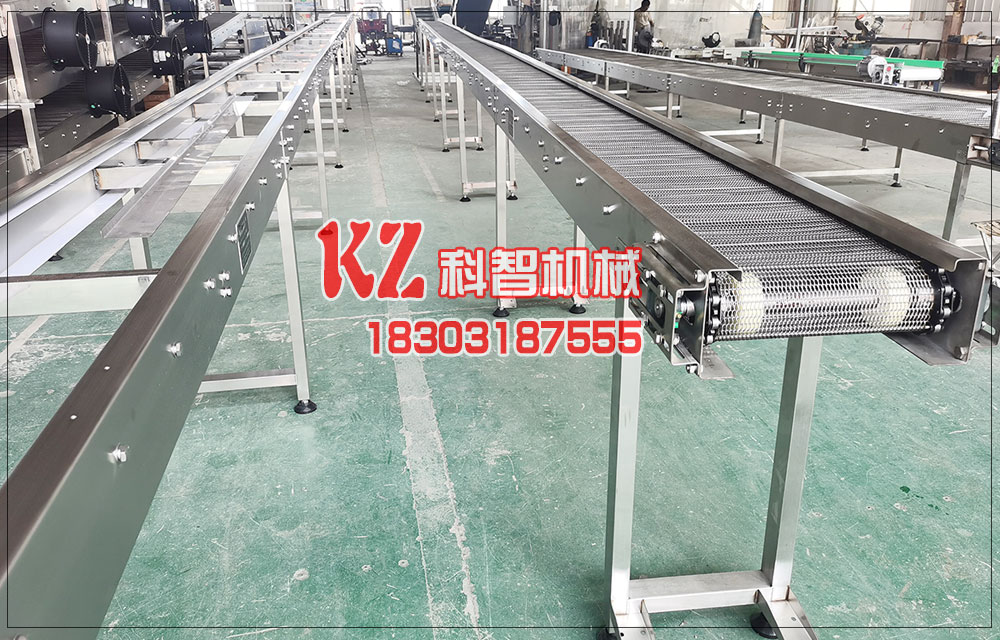 杏子罐頭生產線網帶輸送機與轉彎輸送機的應用